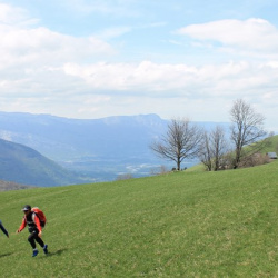 Petits montagnards en Herbe, du 25 avril au 2 mai, Alpe du Grand Serre.