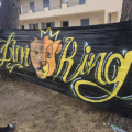 Graff Lion King 